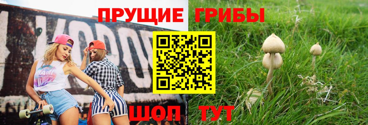 Псилоцибиновые грибы Cubensis Кировск
