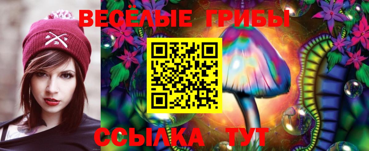Галлюциногенные грибы Cubensis  Вход с VPN  Галлюциногенные грибы GOLDEN TEACHER  Кировск 